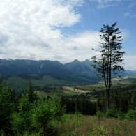 Obrázek