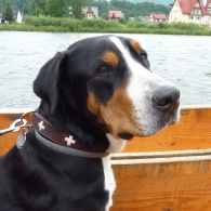 Obrázek