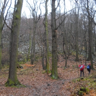 Obrázek