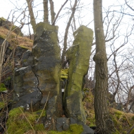 Obrázek