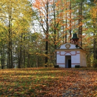 Obrázek