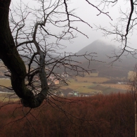 Obrázek