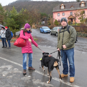 Obrázek