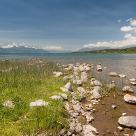 Obrázek