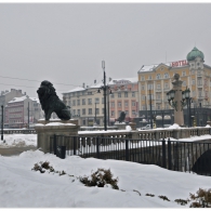 Obrázek