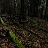 Obrázek