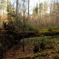 Obrázek