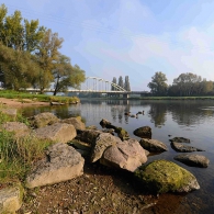Obrázek