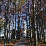 Obrázek