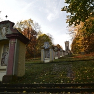 Obrázek