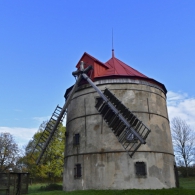 Obrázek
