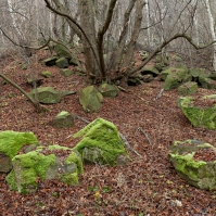 Obrázek