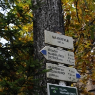 Obrázek