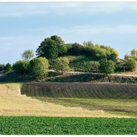 Obrázek