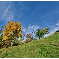 Obrázek