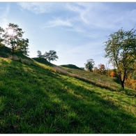 Obrázek