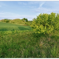Obrázek