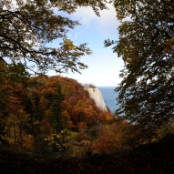 Obrázek