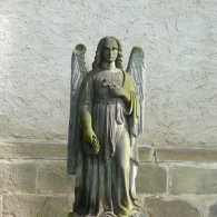 Obrázek