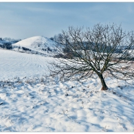 Obrázek