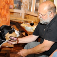 Obrázek