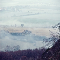 Obrázek