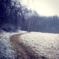 Obrázek