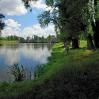 Obrázek