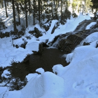 Obrázek