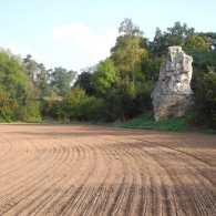 Obrázek