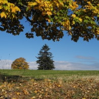 Obrázek