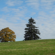 Obrázek