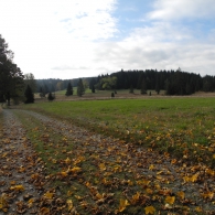 Obrázek