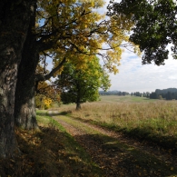 Obrázek