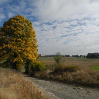 Obrázek