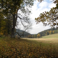 Obrázek