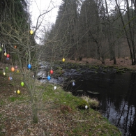 Obrázek