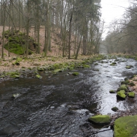 Obrázek