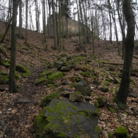 Obrázek