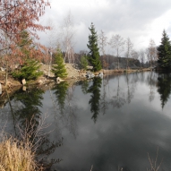 Obrázek