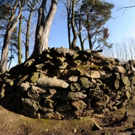 Obrázek