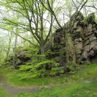 Obrázek