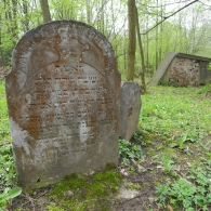 Obrázek