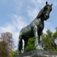 Obrázek