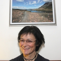 Obrázek