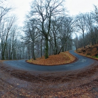 Obrázek