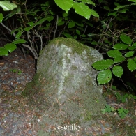 Obrázek