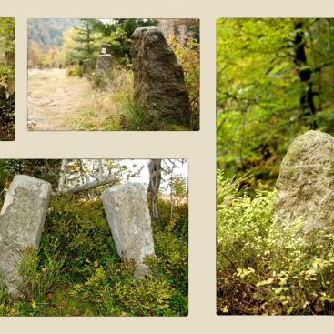 Obrázek