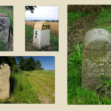 Obrázek