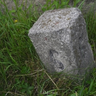 Obrázek